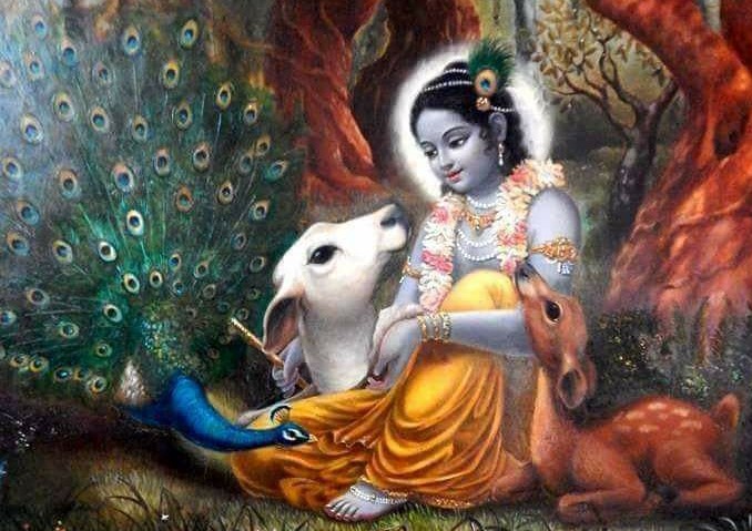 Lord Gopala